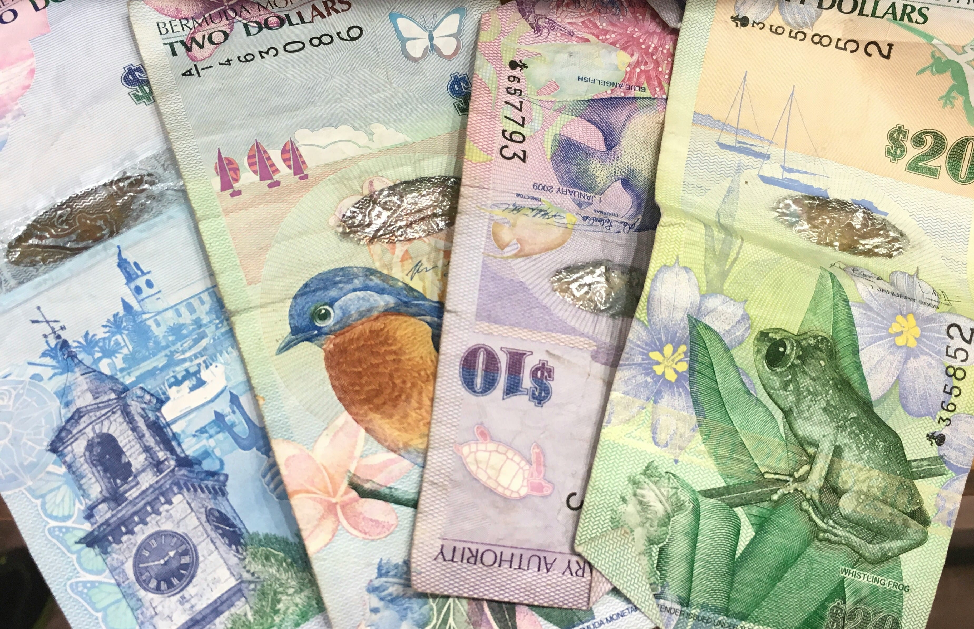Banknotes with other animal illustrations