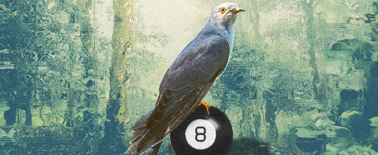 parrot on eight ball