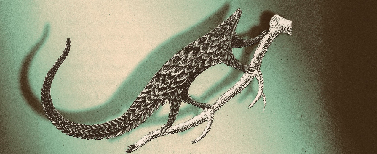 Polycriminality and pangolins: following wildlife crimes’ tracks in financial services